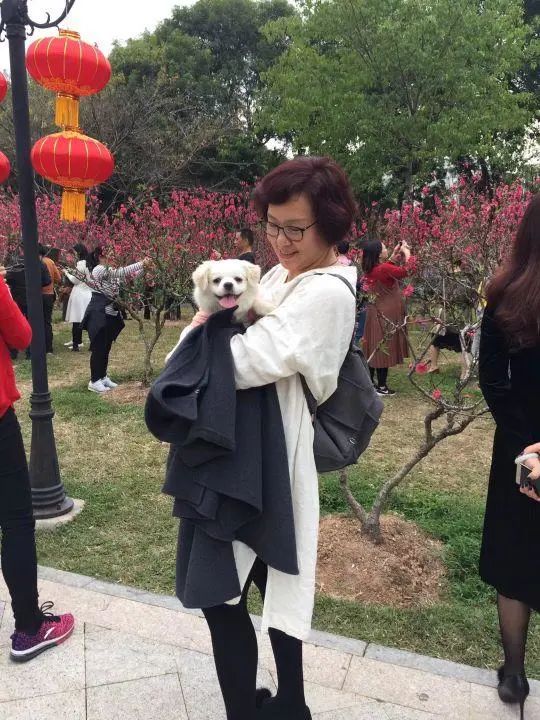 58歲的她，自駕房車旅居，一人兩犬，活成了自己喜歡的樣子